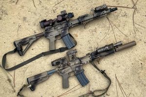 LPVO или Red Dot для AR-15: загонный прицел или коллиматор &ndash; что выбрать? фото